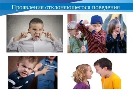 Избранное поведение