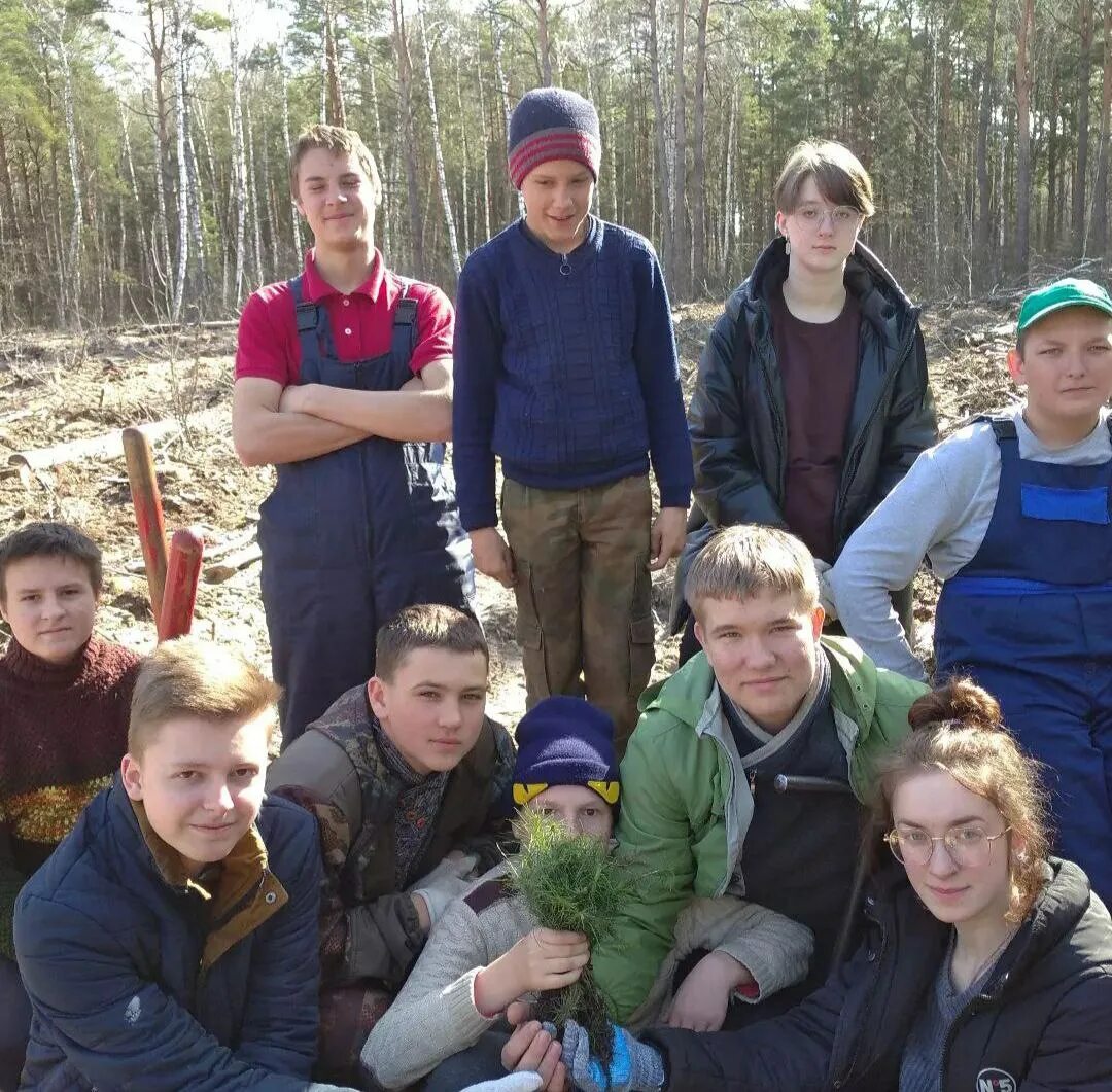 Лоевский лесхоз. Директор лесхоза. Лоевский лесхоз. Лоевский лесхоз. Директор лесхоза.