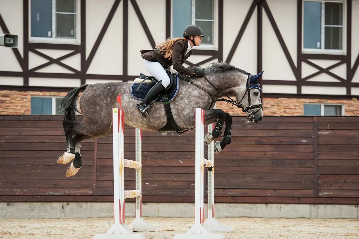 Конкур. Конкур 2 метра. Конкур maxima. Конкур Максима стейбл. Show jumping