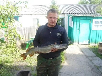 Мало березники
