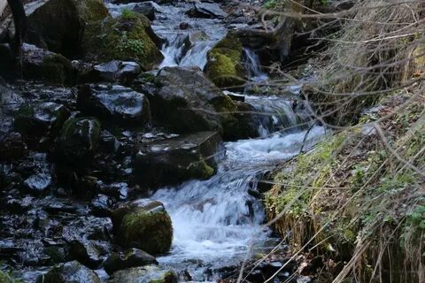 Сунжа вода