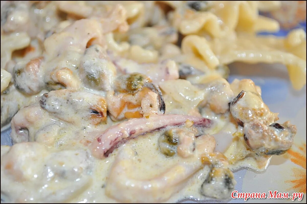 Морской коктейль в сливках с чесноком. Морепродукты в сметане. Морской коктейль замороженный на тарелке. Жареные ракушки. Морской коктейль в сметанном соусе.