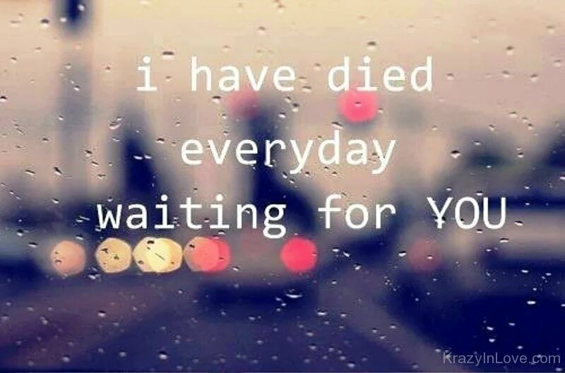 Where you will waiting for me. I died everyday waiting for you. i died everyday waiting for you перевод.