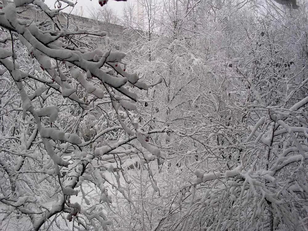 написать про весну. лежащий сугробами снег. сочинение на тему весна. снег лежал еще кое где. снег лежал еще кое где.