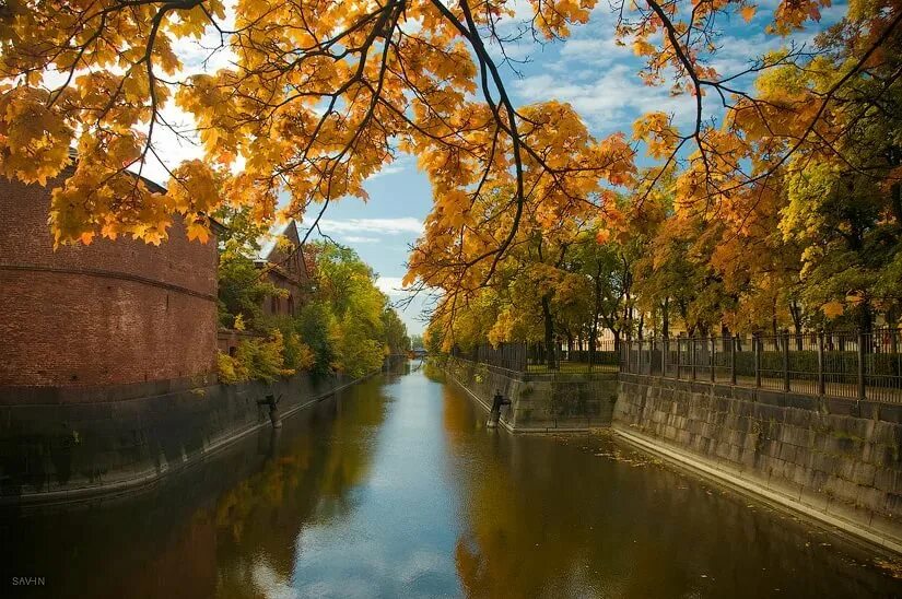 Какая осень в спб. Фото дети в спб осенью город. Александровский сад санкт-петербург осень. Золотая осень в санкт-петербурге. Фото питера 2021 осень.