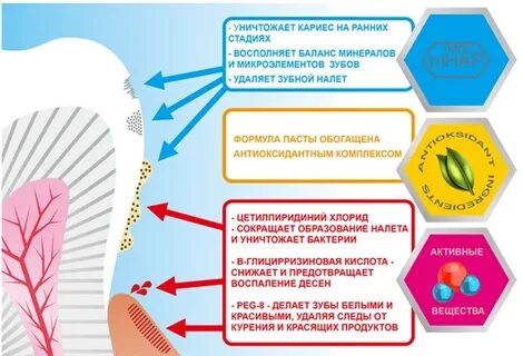 Правильная зубная паста