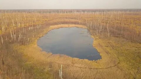Карьер болота