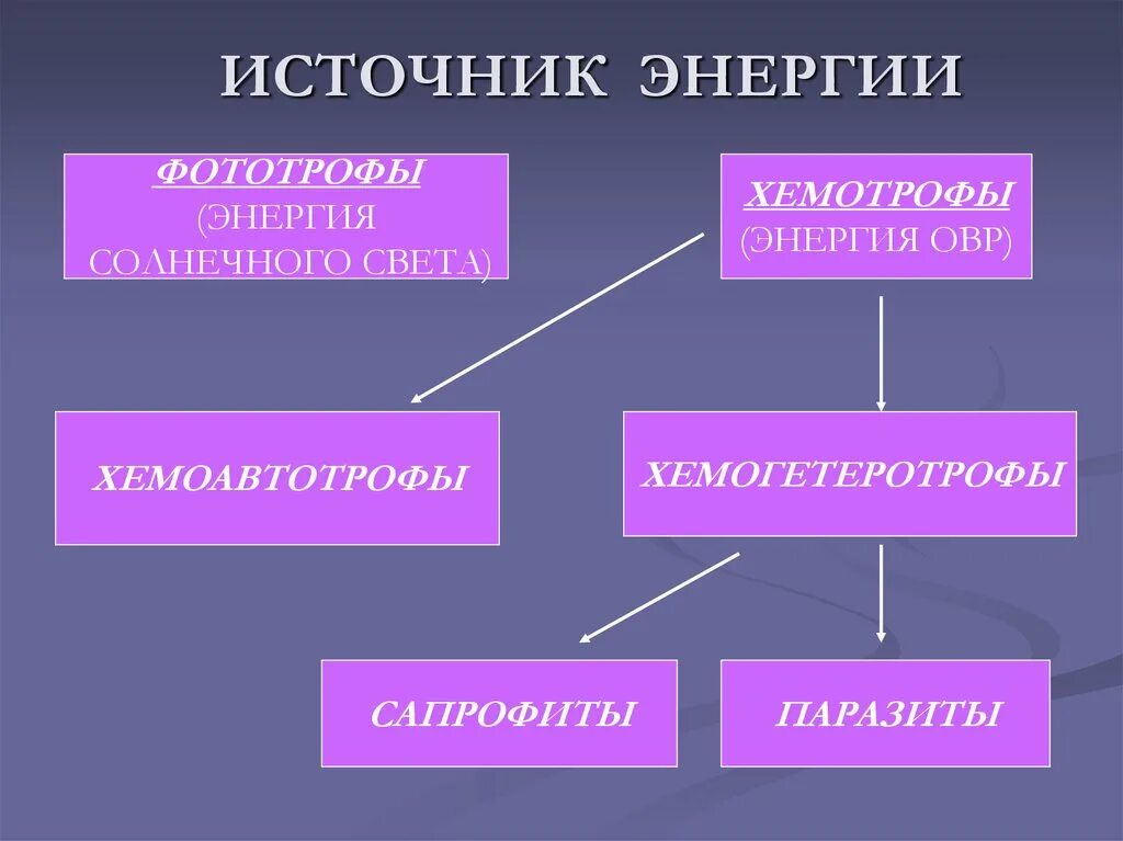 Источники энергии бактерий. Хемоавтотрофы и хемогетеротрофы. Источник энергии хемотрофов. Хемоавтотрофы источник энергии. Источник энергии фототрофы.