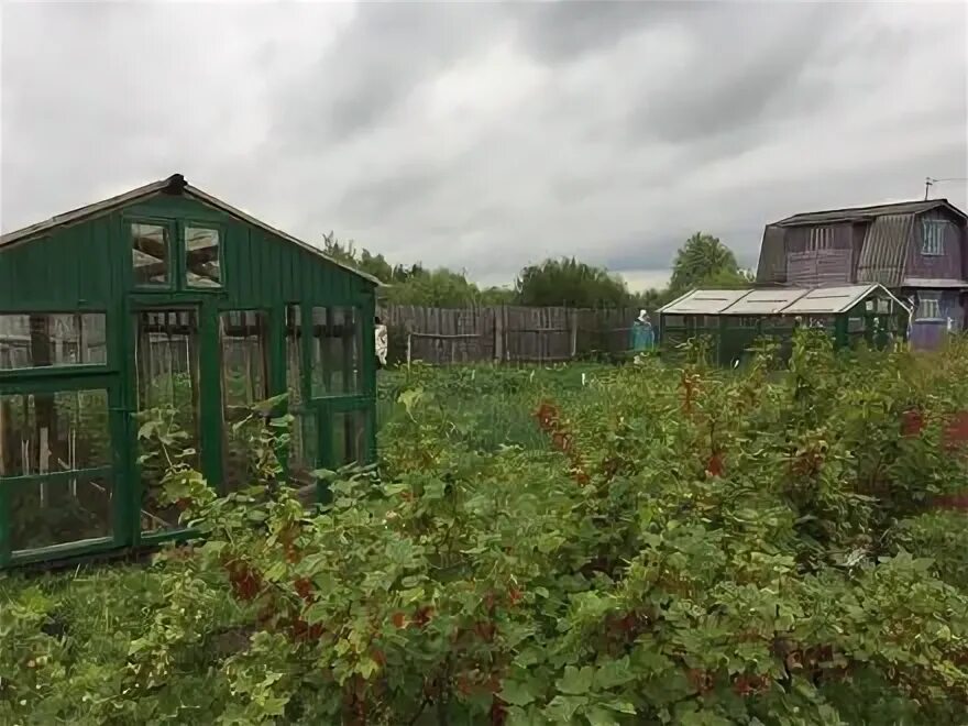 Авито йошкар-ола недвижимость. Снт сатурн йошкар-ола. Садоводческое товарищество коммунальник. Снт в йошкар оле. Садоводческое товарищество коммунальник.