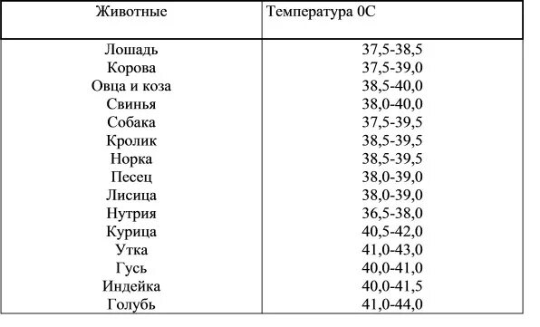 Температура кошки 39 5. Температура тела овец в норме. Температура тела домашних животных таблица. Нормальная температура тела домашних животных таблица. Температура тела у животных в норме.