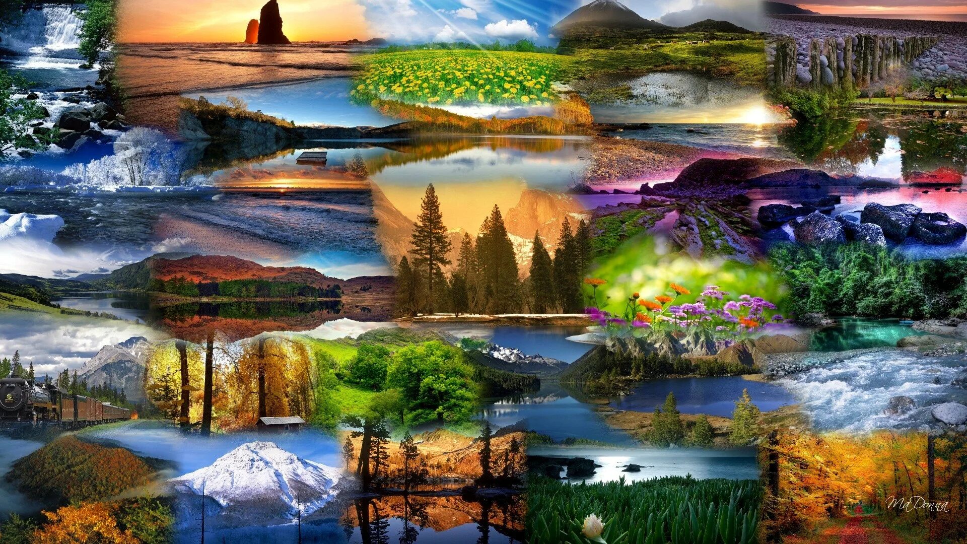 Страны мира окружающий мир 2 класс. На земле много различных. "и на земли мир…". Коллаж природа. На земле много различных.