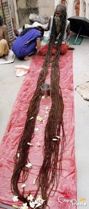 Как выглядит самые длинные волосы Incredible photos and video of world's longest dreadlocks that are longer than a