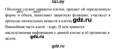 Биология 6 класс страница 24 номер 6