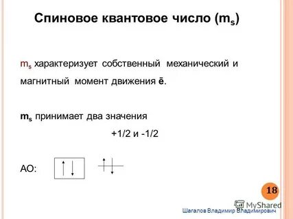 Спиновое квантовое число