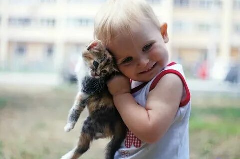 Лучшие кошки для детей