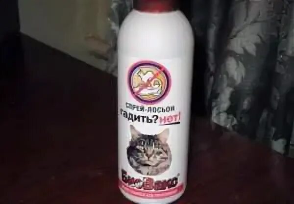Как отучить гадить где попало