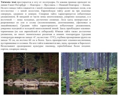 В тайге русской равнины распространены леса