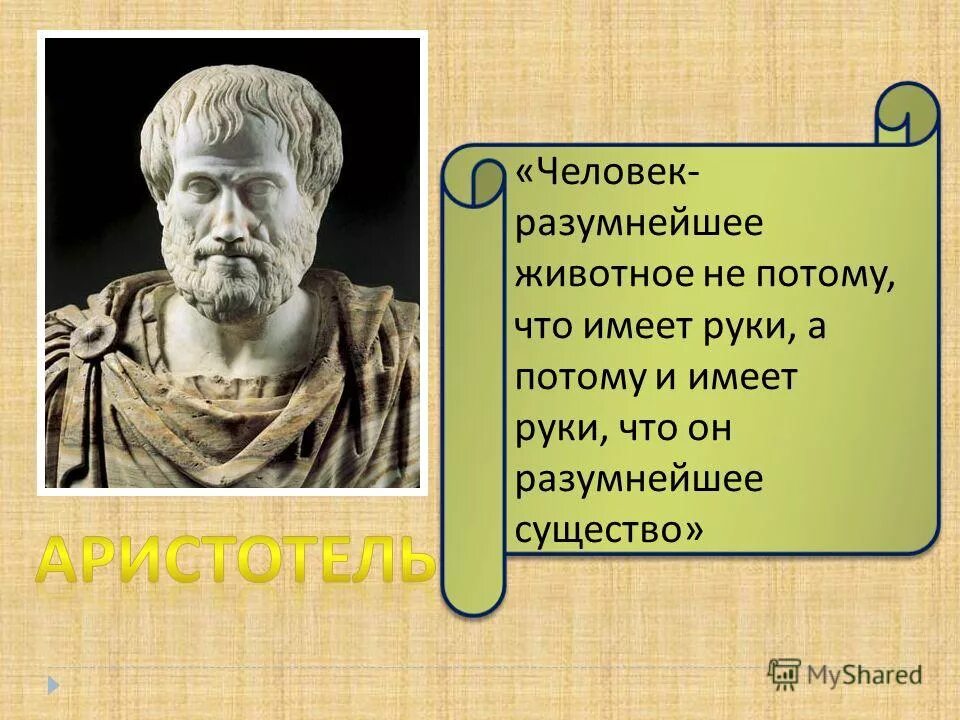 человек разумное животное кто сказал