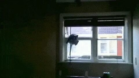 3 стука в окно