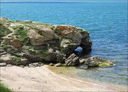 Берег формы