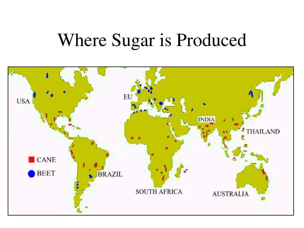 Где растет сахарный тростник на карте. Сахарный тростник ареал распространения. Районы возделывания сахарного тростника. Районы выращивания сахарного тростника. Страны выращивающие сахарный тростник