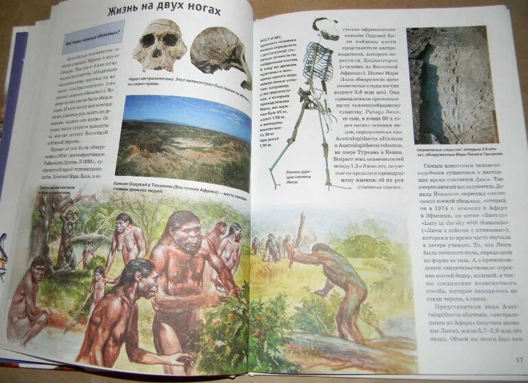 Клан мамонта сергей щепетов. Художественные книги про каменный век. Сергей щепетов каменный век. Попаданцы в каменный век. Янис кууне.