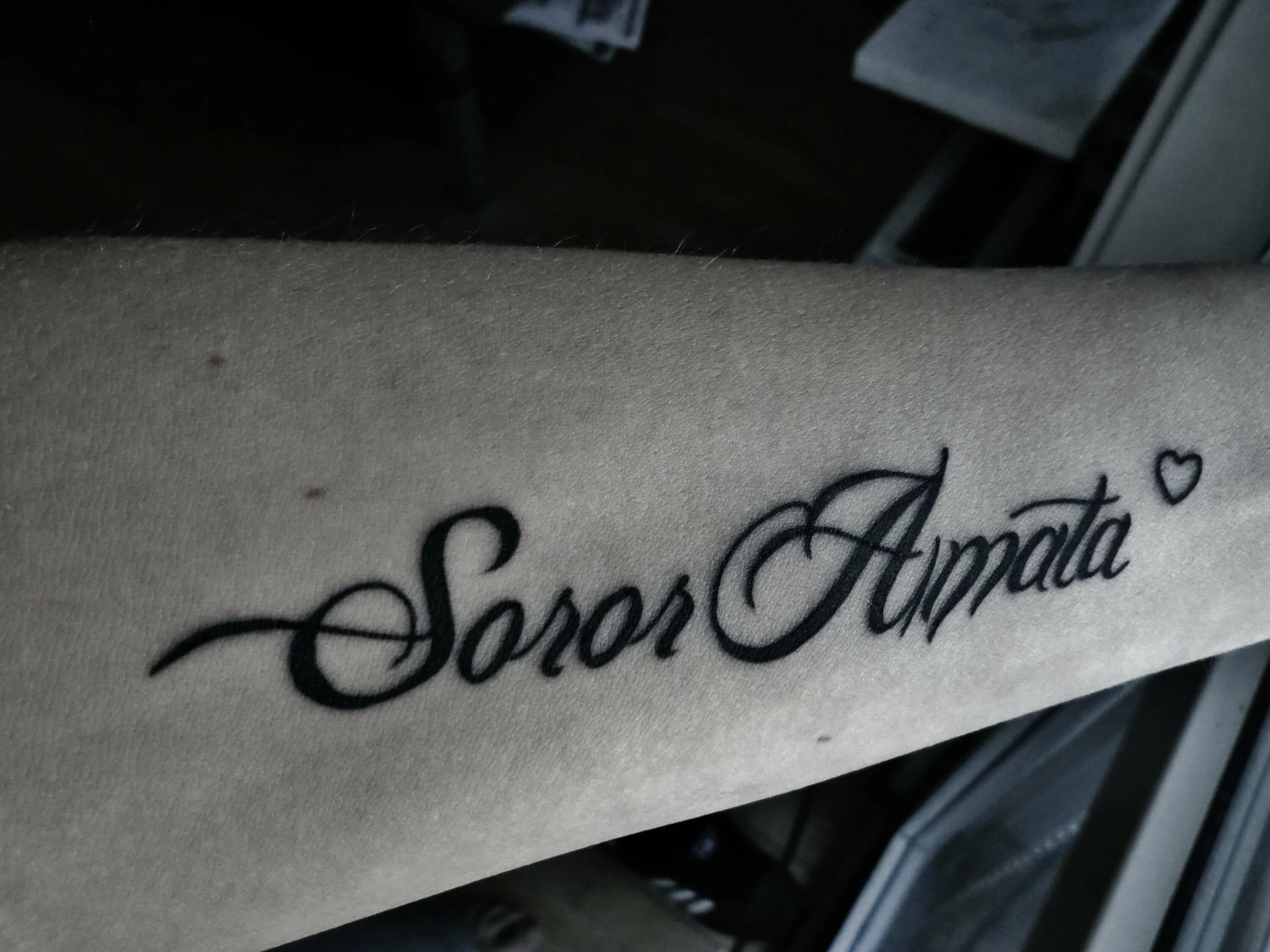 любимая на латыни тату. тату надпись amor vincit omnia. тату надписи. любимая на латыни тату. амор омния винсит.