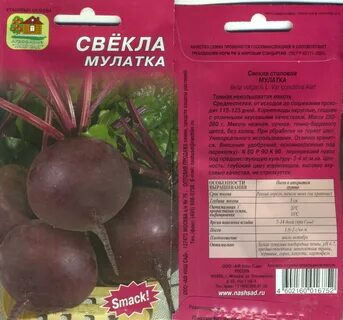 Свекла мулатка описание