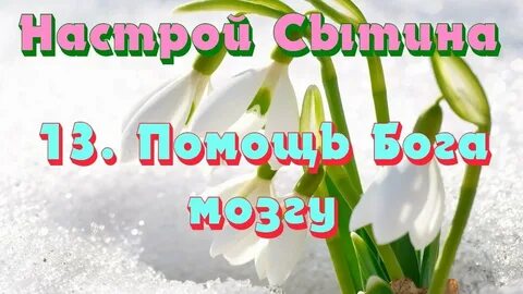 Сытин настрой блаженное спокойствие