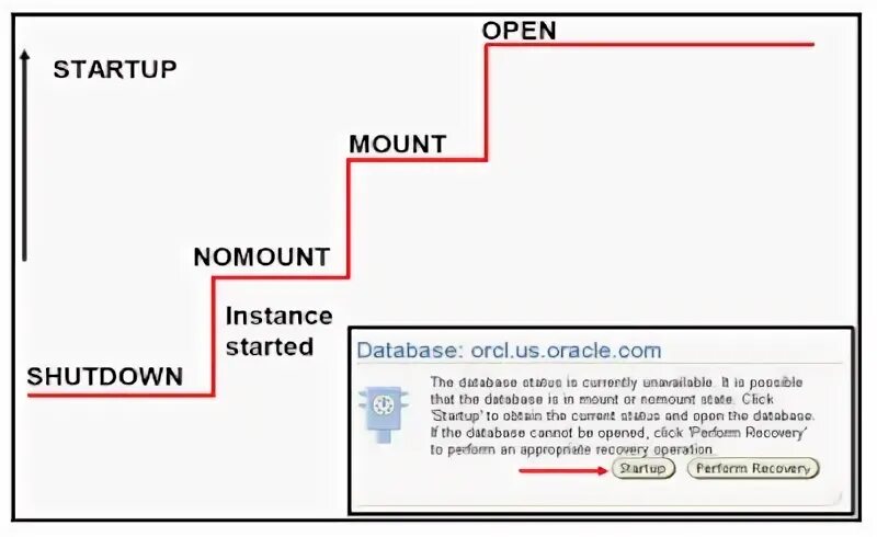 Oracle startup lister startup. Starting up database. Boss 3 database. База данных стартапа. Oracle instance database.
