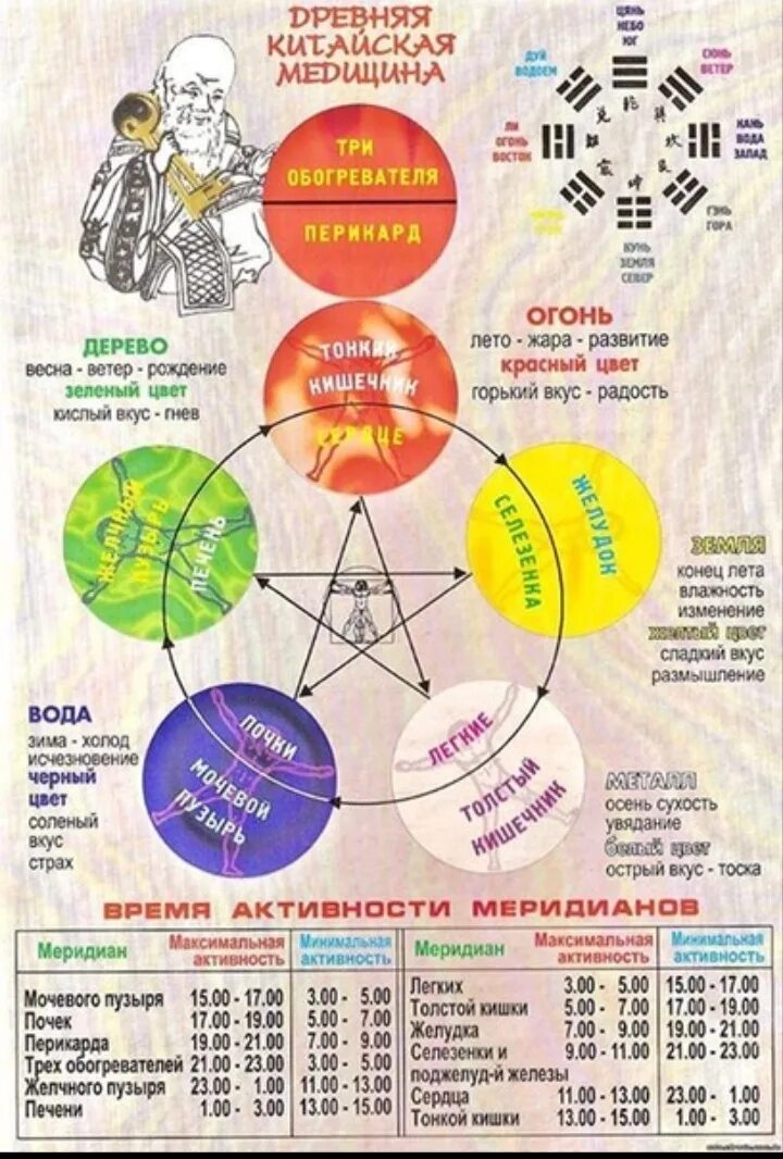 Китайская система оздоровления у-син у син. Круг у-син 5 элементов. Система 5 элементов у-син. У син китайская медицина меридианы.