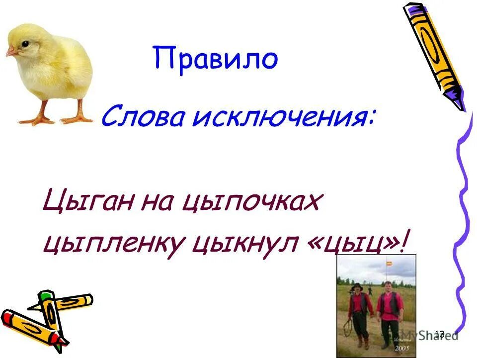 слова с цы и ци. правильное написание слова птенчик. как писать цыпленок. как пишется птенцов. как написать цыпленок.