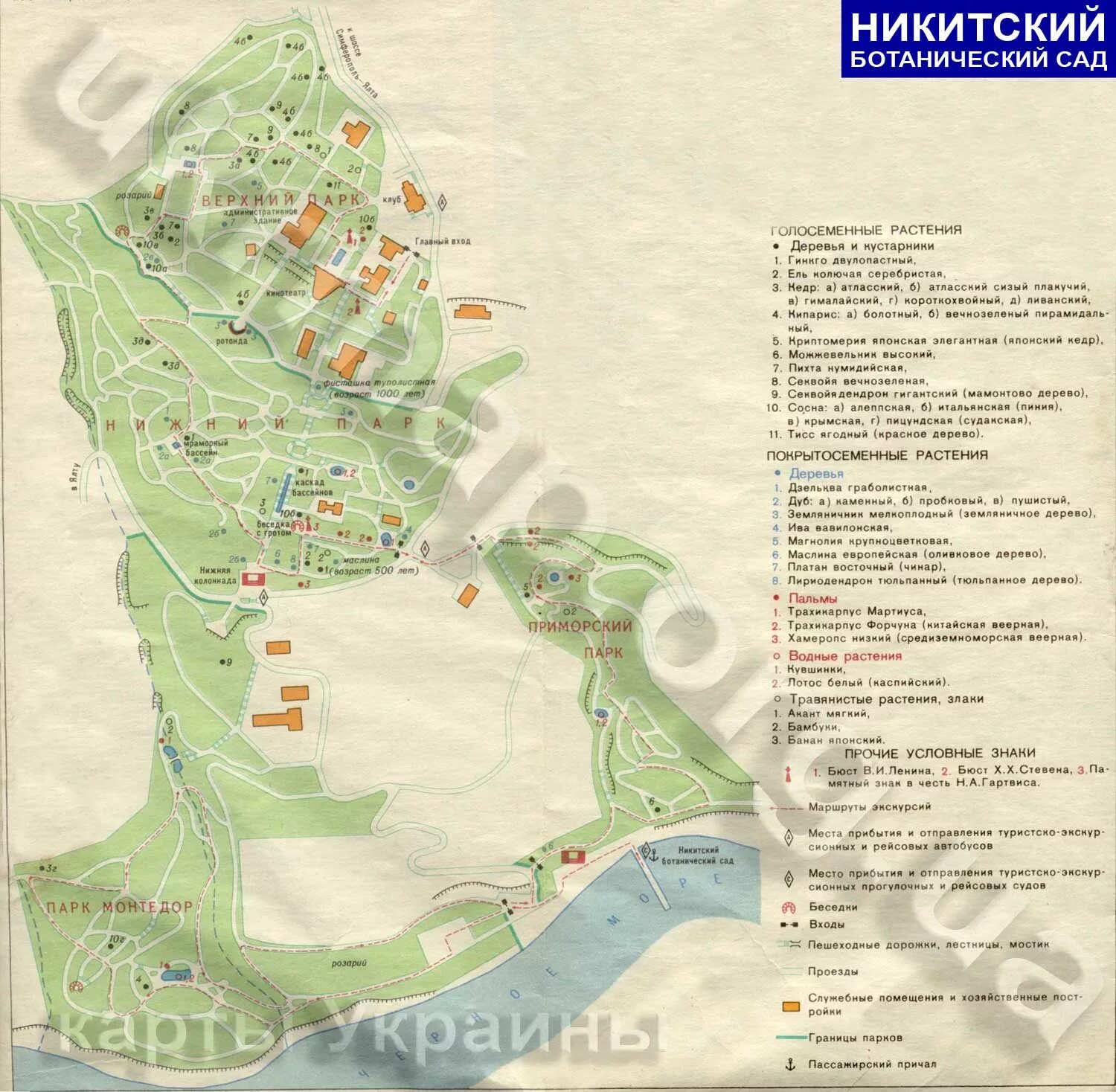 никитский ботанический сад карта сада. схема ботанического сада в ялте. никитский ботанический сад на карте крыма. никитский ботанический сад схема парка. никитский ботанический сад план-схема.