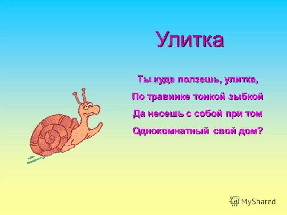 Сколько проползает улитка. Сколько проползает улитка. Решение задачи с улиткой. Движение улитки. Задача про улитку.