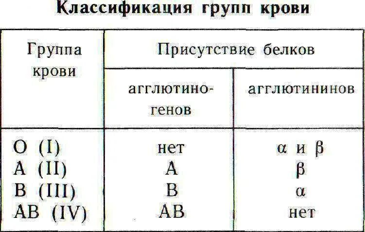 Кошачьи группы крови. Группы крови кошек совместимость. Группа крови у котов. Сколько групп крови у кошек. Группа крови федоров