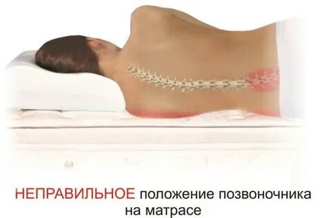 Положение позвоночника на спине