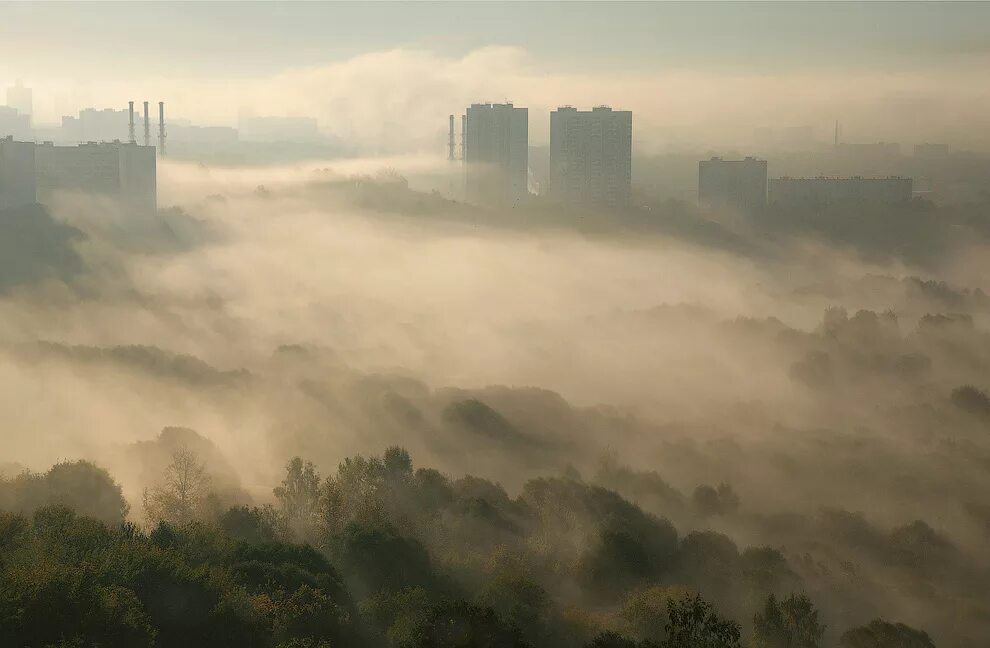 Где туман. Фотохимический туман (смог). Туман над городом. Город в тумане. Загрязнение воздуха в городе.