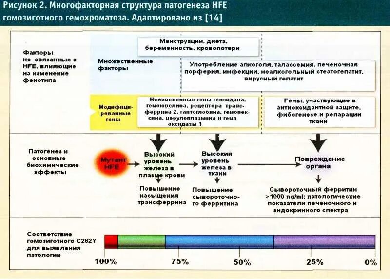 Ферритин анализ повышен у женщин что. Показатели сывороточного железа при гемохроматозе. причины изменения концентрации ферритина в сыворотке крови. повышение ферритина и железа в крови. завышение уровня ферритина.