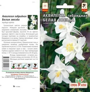 Семена алтая дзен