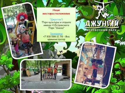 Режим работы джунгли парка