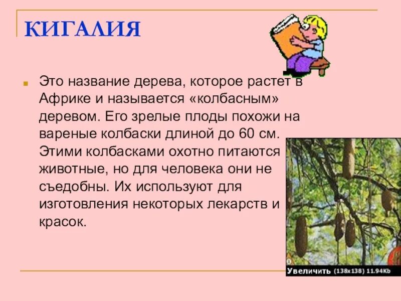 Маршрут в любом дереве называют. Колбасное дерево презентация. что называют &quot;деревом&quot; в человеке.