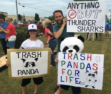 Trash Pandas voted nickname for new Madison baseball team - al.com.