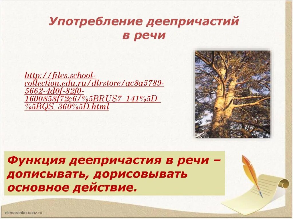 Устраните ошибки в употреблении деепричастий. Употребление деепричастий в речи 7 класс реферат.