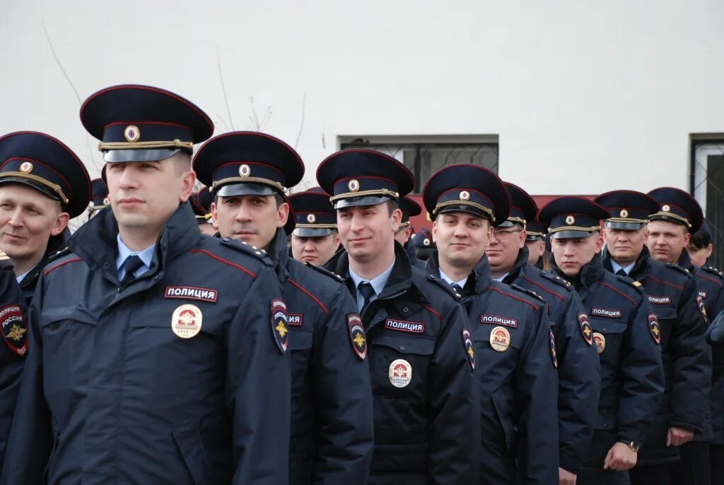 Полиция сфера деятельности