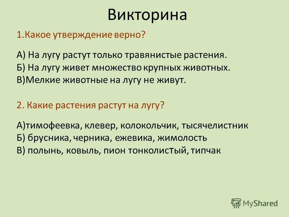 верные утверждения о растениях. какие утверждения верны 3 класс. какие утверждения верны. какое утверждение верно. какие утверждения верны.