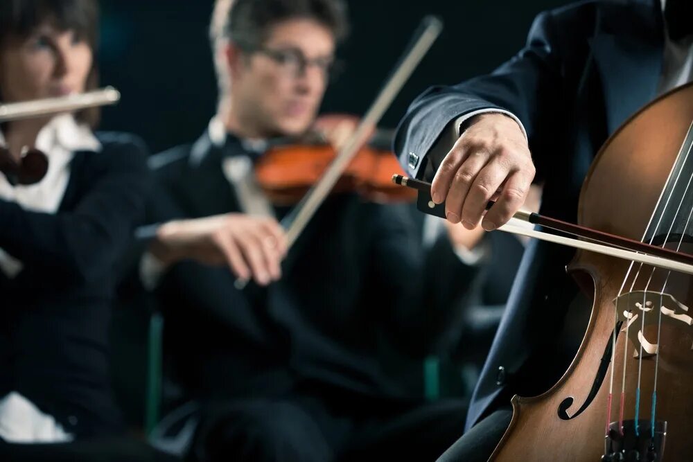 Orchestra performance