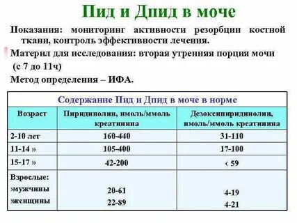 Креатинин мочи как собирать