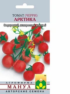 Арктический томат описание
