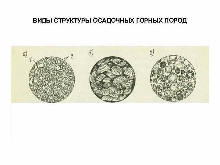 Структуры осадочных горных пород. Скрытокристаллическая структура горных пород. структуры осадочных пород. структура осадочных горных пород. виды структура осадочных пород.