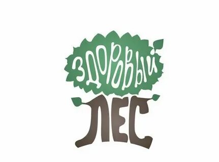 Здоровый лес